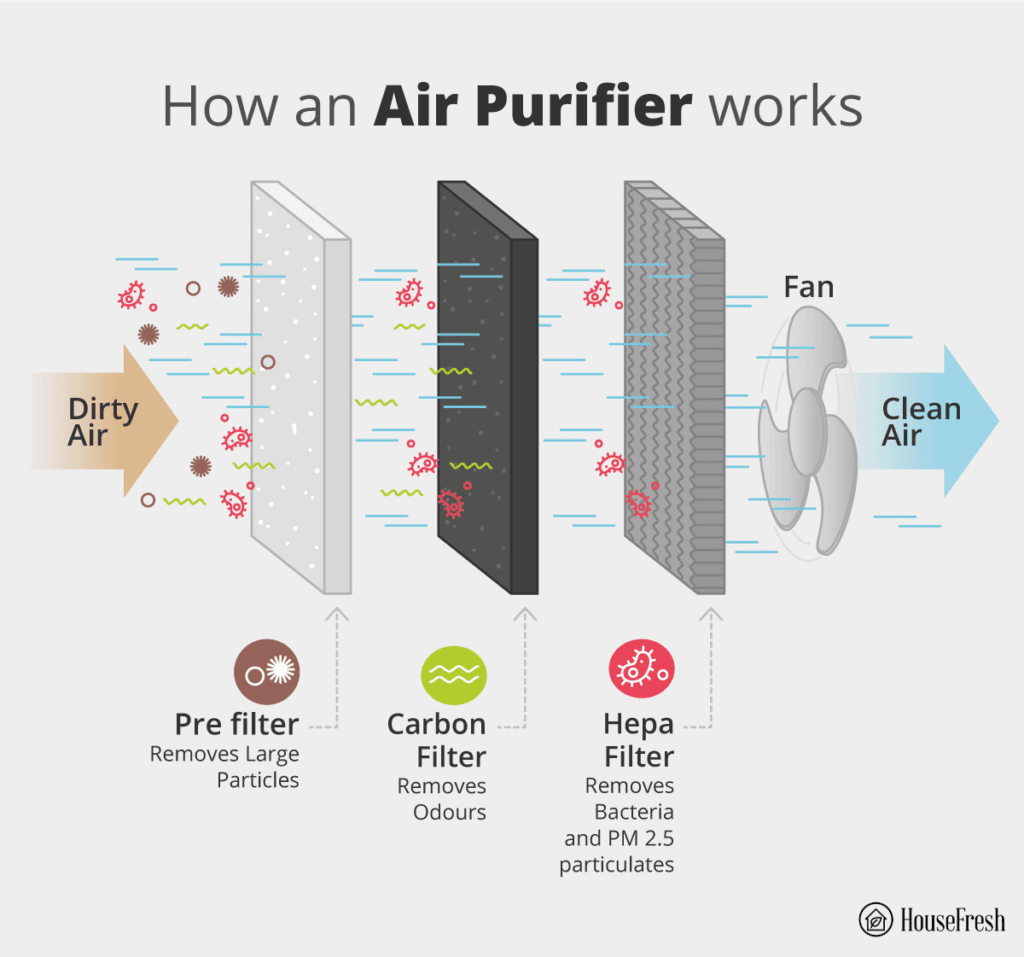 Can Air Purifiers Help with Mold?