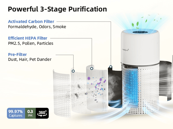 Can Air Purifiers Help with Smells
