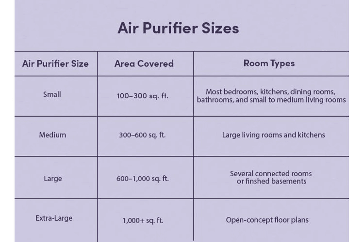 How Many Air Purifiers Do I Need