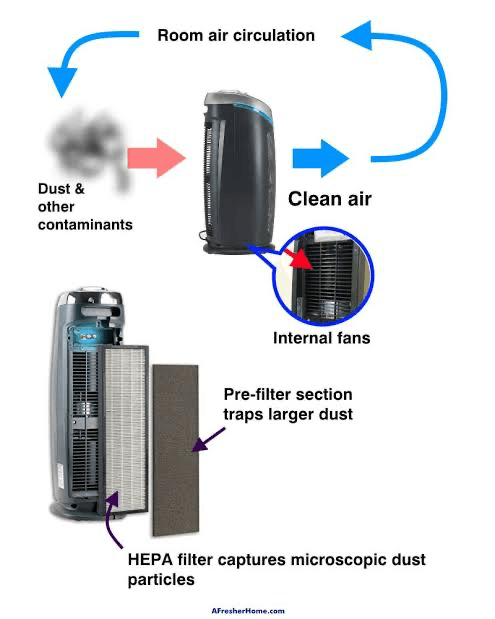 Can Air Purifiers Help with Dust